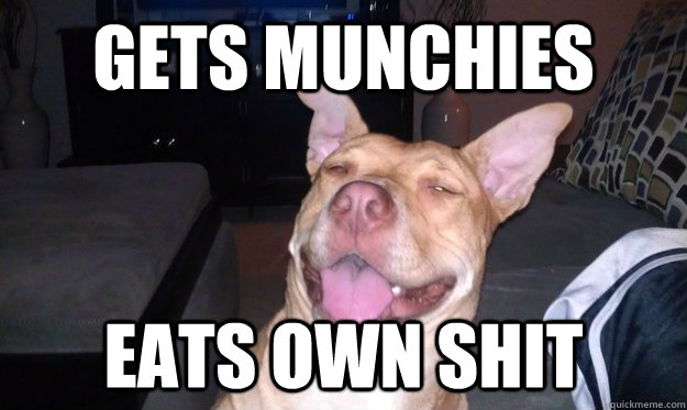 gets munchies eats own shit  10 Dog