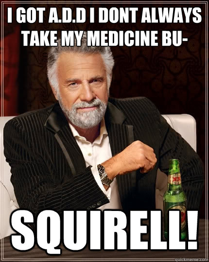 i got a.d.d i dont always take my medicine bu- SQUIRELL!  The Most Interesting Man In The World