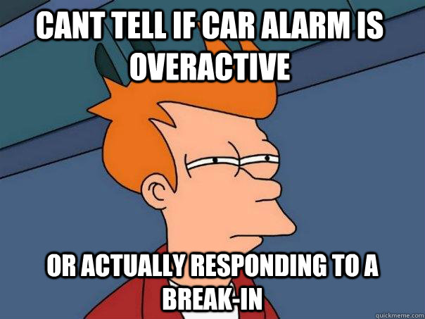 Cant tell if car alarm is overactive Or actually responding to a break-in  Futurama Fry