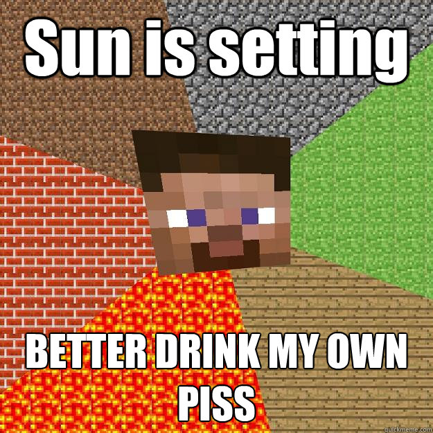 Sun is setting BETTER DRINK MY OWN PISS  Minecraft