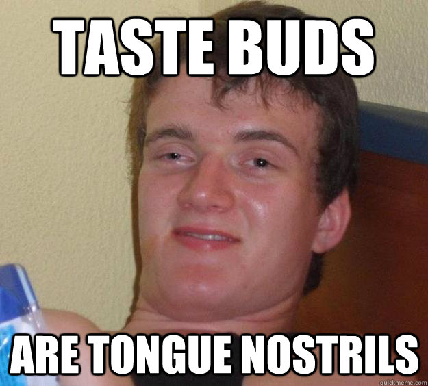 Taste buds are tongue nostrils  10 Guy