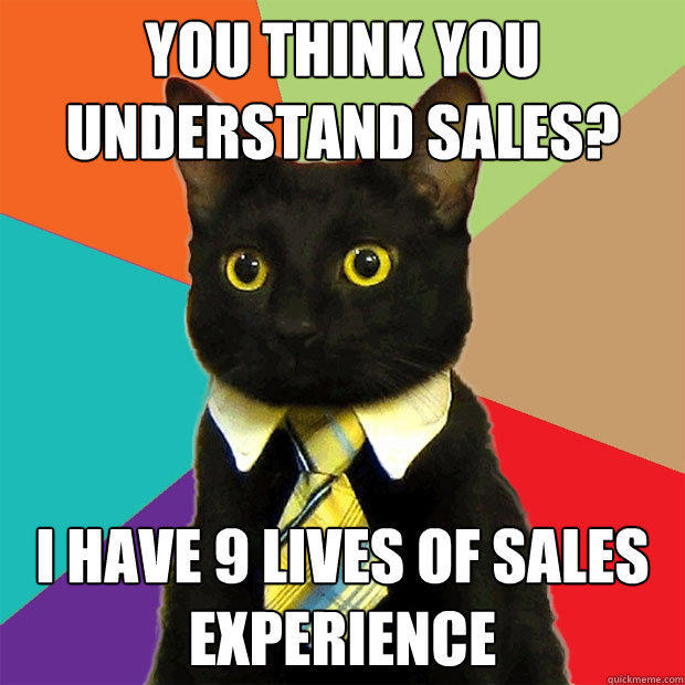 You think you understand sales? I have 9 lives of sales experience - You think you understand sales? I have 9 lives of sales experience  Business Cat