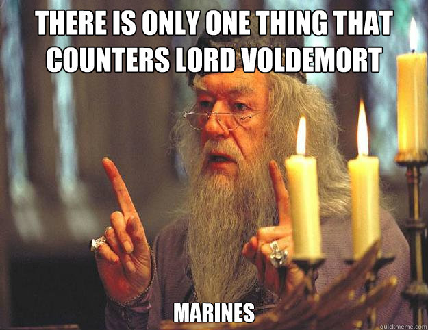 There is only one thing that counters Lord Voldemort Marines  Dumbledore