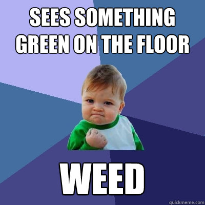 Sees something green on the floor Weed  Success Kid
