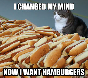 I changed my mind now i want hamburgers  Hot Dog Cat