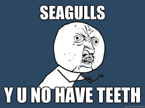 Seagulls y u no have teeth  Y U No