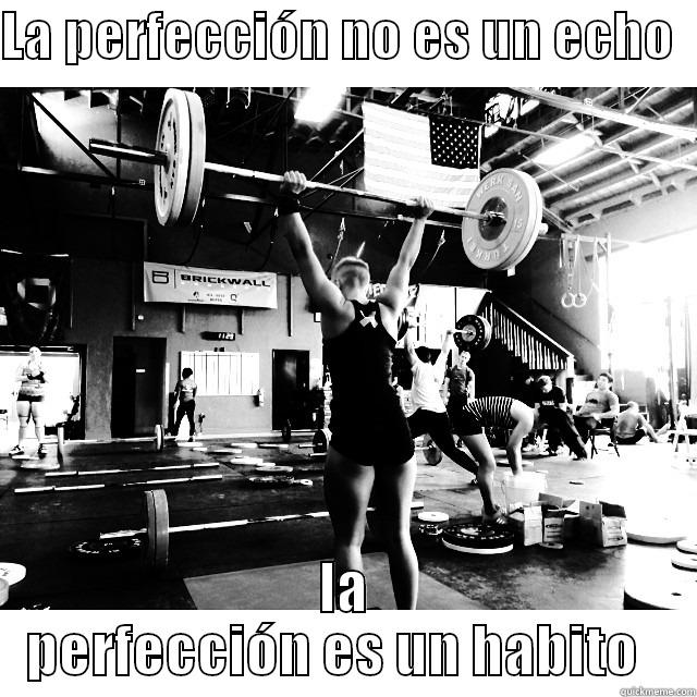 LA PERFECCIÓN NO ES UN ECHO   LA PERFECCIÓN ES UN HABITO   Misc