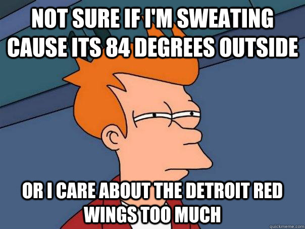 Not sure if i'm sweating cause its 84 degrees outside Or i care about the Detroit Red Wings too much  Futurama Fry