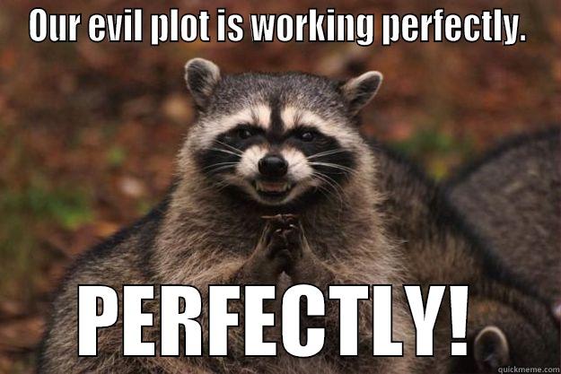 Scheming raccoon. - OUR EVIL PLOT IS WORKING PERFECTLY. PERFECTLY! Evil Plotting Raccoon