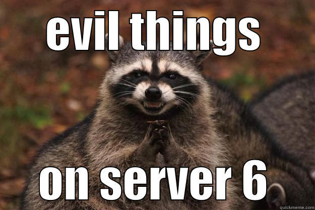  evil server 6 - EVIL THINGS ON SERVER 6 Evil Plotting Raccoon