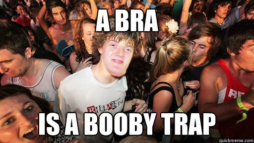 a bra is a booby trap - a bra is a booby trap  Misc
