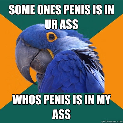 some ones penis is in ur ass whos penis is in my ass  Paranoid Parrot