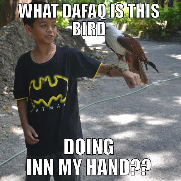 WHAT DAFAQ IS THIS BIRD DOING INN MY HAND?? Misc