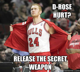 D-Rose Hurt? Release the secret weapon  Brian Scalabrine