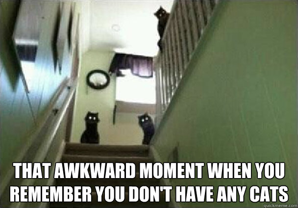  that awkward moment when you remember you don't have any cats  