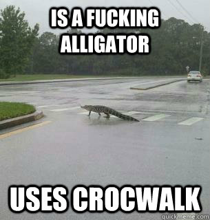 IS A FUCKING ALLIGATOR USES CROCWALK   