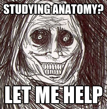 Studying anatomy? LET ME HELP  Horrifying Houseguest