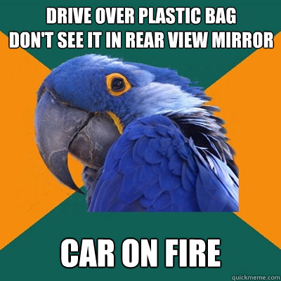 Drive over plastic bag
Don't see it in rear view mirror car on fire  Paranoid Parrot