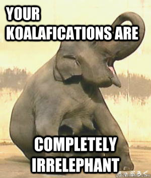 Your Koalafications are  Completely Irrelephant  