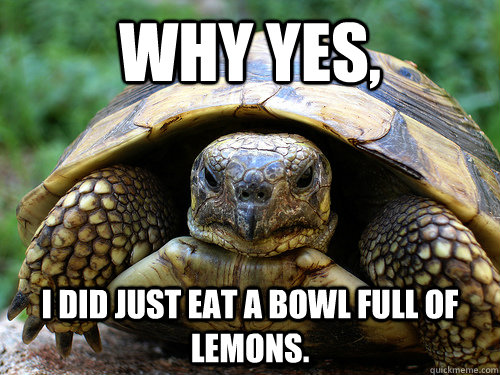 Why yes, I DID just eat a bowl full of lemons.  Angry Turtle