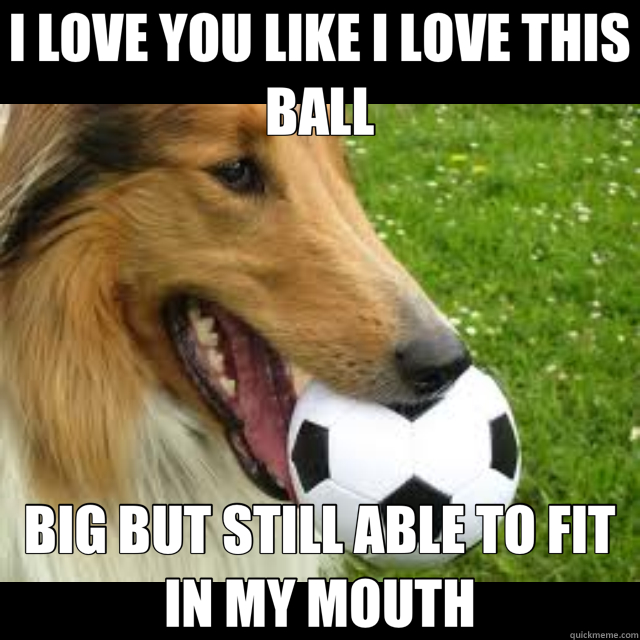 I LOVE YOU LIKE I LOVE THIS BALL BIG BUT STILL ABLE TO FIT IN MY MOUTH - I LOVE YOU LIKE I LOVE THIS BALL BIG BUT STILL ABLE TO FIT IN MY MOUTH  dog soccer
