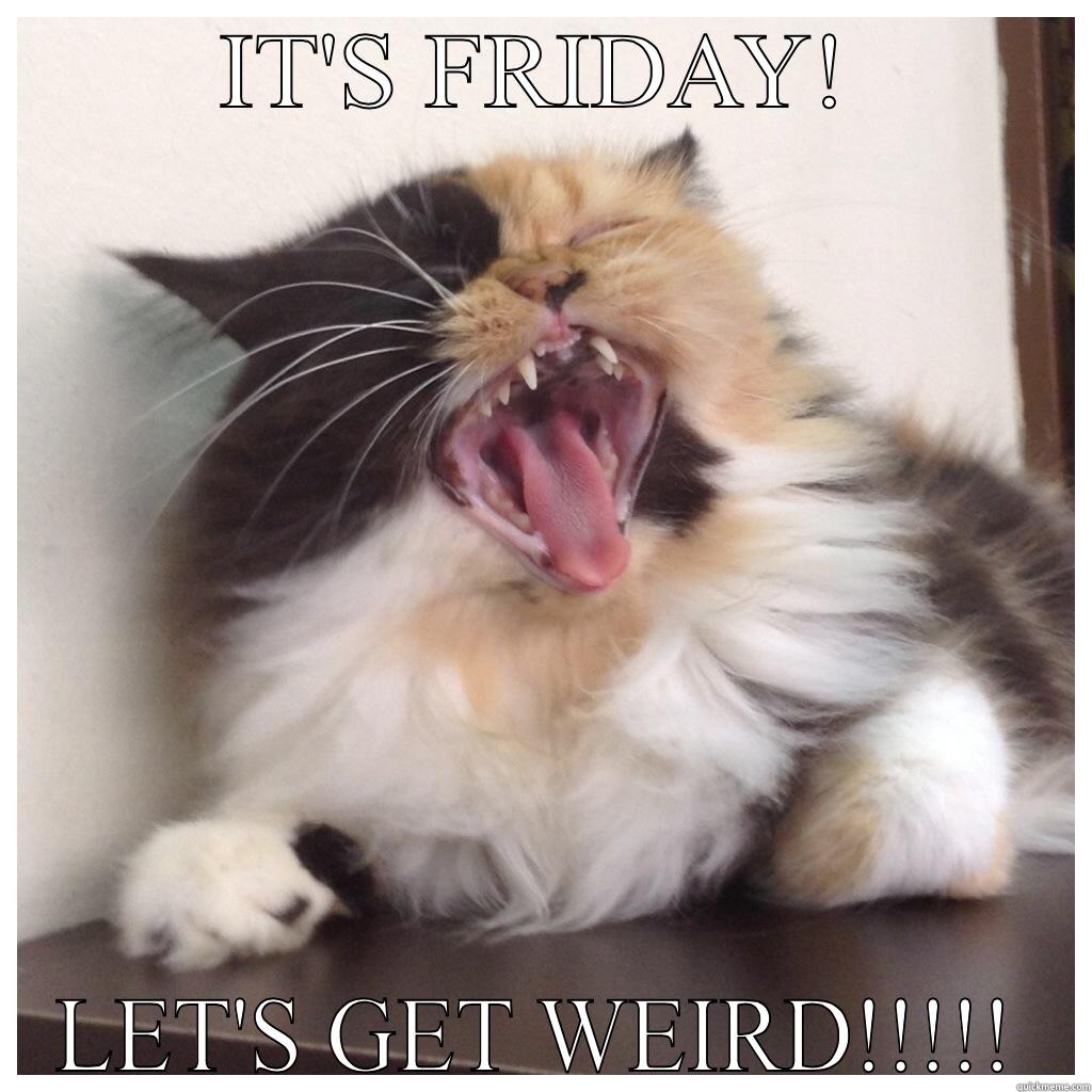 IT'S FRIDAY! LET'S GET WEIRD!!!!! Misc