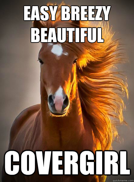 Easy breezy beautiful covergirl - Easy breezy beautiful covergirl  Ridiculously Photogenic Horse