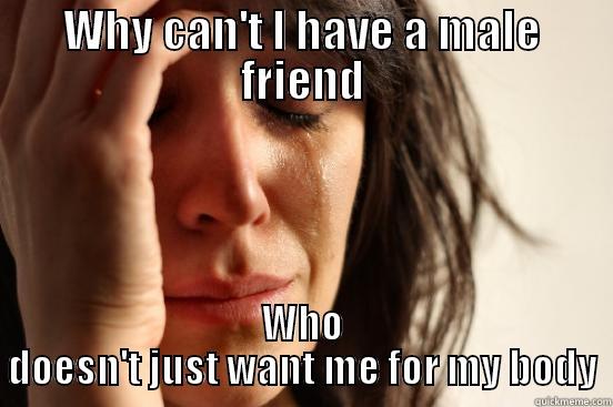 WHY CAN'T I HAVE A MALE FRIEND WHO DOESN'T JUST WANT ME FOR MY BODY First World Problems
