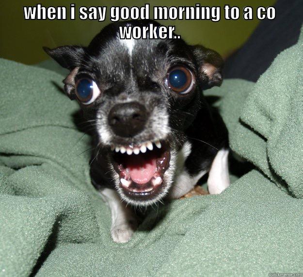 mad ting - WHEN I SAY GOOD MORNING TO A CO WORKER..  Chihuahua Logic