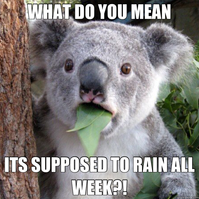 WHAT DO YOU MEAN ITS SUPPOSED TO RAIN ALL WEEK?! - WHAT DO YOU MEAN ITS SUPPOSED TO RAIN ALL WEEK?!  Misc