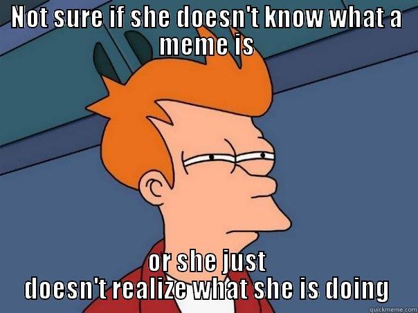 NOT SURE IF SHE DOESN'T KNOW WHAT A MEME IS OR SHE JUST DOESN'T REALIZE WHAT SHE IS DOING Futurama Fry