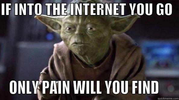 IF INTO THE INTERNET YOU GO   ONLY PAIN WILL YOU FIND    True dat, Yoda.