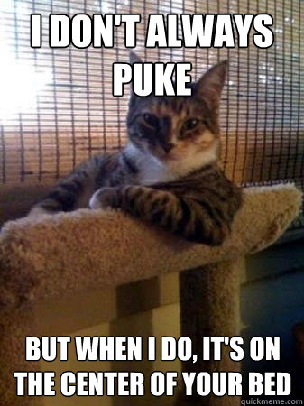 I don't always puke but when I do, it's on the center of your bed  The Most Interesting Cat in the World