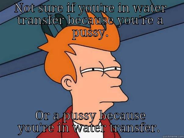 NOT SURE IF YOU'RE IN WATER TRANSFER BECAUSE YOU'RE A PUSSY. OR A PUSSY BECAUSE YOU'RE IN WATER TRANSFER.  Futurama Fry