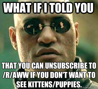 what if i told you That you can unsubscribe to /r/aww if you don't want to see kittens/puppies.  Matrix Morpheus