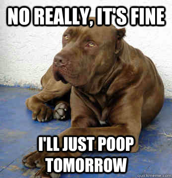 No really, it's fine I'll just poop tomorrow  