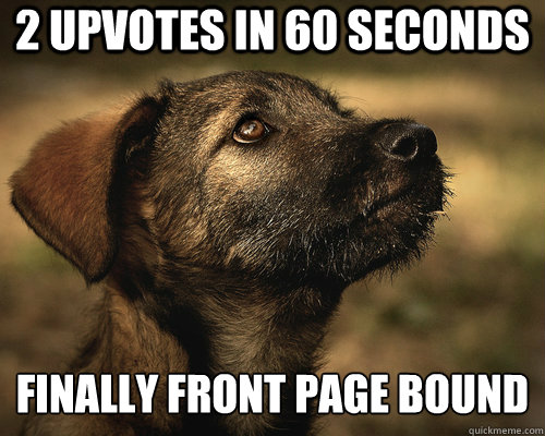 2 upvotes in 60 seconds finally front page bound - 2 upvotes in 60 seconds finally front page bound  Hopelessly Optimistic Dog