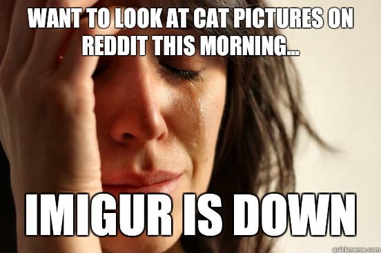 Want to look at cat pictures on Reddit this morning... Imigur is down  First World Problems