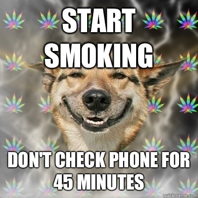 START SMOKING DON'T CHECK PHONE FOR 45 MINUTES  Stoner Dog