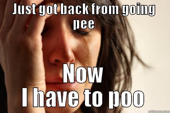 JUST GOT BACK FROM GOING PEE NOW I HAVE TO POO First World Problems