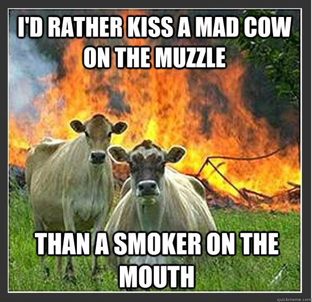 I'd rather kiss a mad cow on the muzzle than a smoker on the mouth  Evil cows