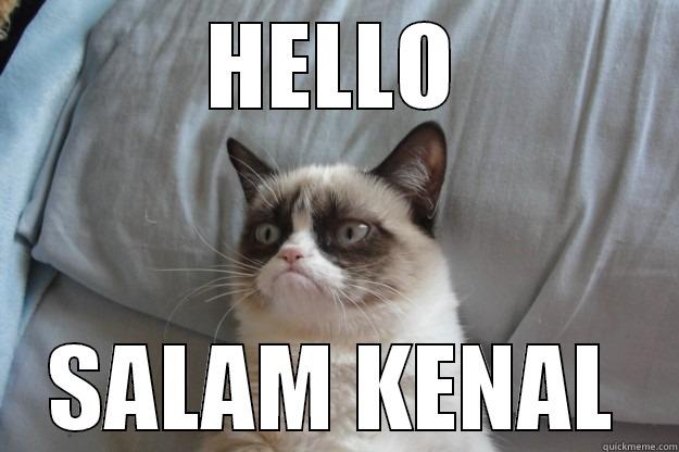 kucing lebay - HELLO SALAM KENAL Grumpy Cat
