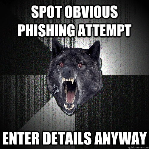 Spot obvious phishing attempt  Enter Details anyway  Insanity Wolf