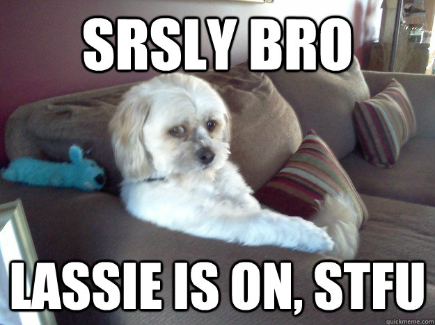 srsly bro Lassie is on, stfu - srsly bro Lassie is on, stfu  Worry Mutt