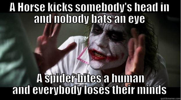 A HORSE KICKS SOMEBODY'S HEAD IN AND NOBODY BATS AN EYE  A SPIDER BITES A HUMAN AND EVERYBODY LOSES THEIR MINDS Joker Mind Loss