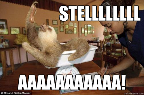STELLLLLLLL AAAAAAAAAAA!  Dramatic Sloth