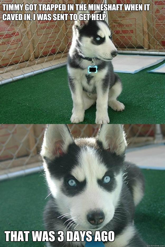 Timmy got trapped in the mineshaft when it caved in, i was sent to get help That was 3 days ago  Insanity puppy