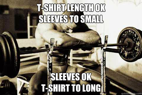 T-Shirt length OK
Sleeves to small Sleeves OK
T-Shirt to long  sad muscle guy