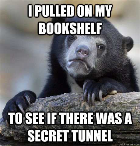 I pulled on my bookshelf to see if there was a secret tunnel  Confession Bear