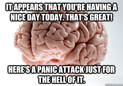 It appears that you're having a nice day today. That's Great! Here's A Panic Attack just for the hell of it.  Scumbag Brain